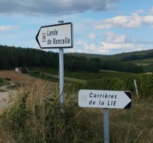 Des carrières de la Lie à la Lande de Nancelles - La Roche-Vineuse - 3