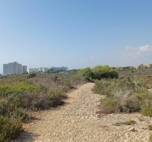 Circuit chemin pompiers, par Puig Botà - Manacor - 5