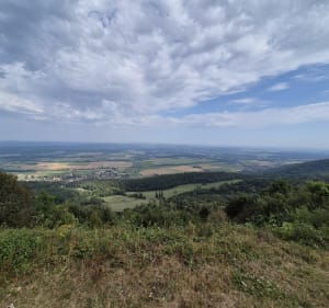 Grimpette au fort de la Dame Blanche - Vieilley - 4