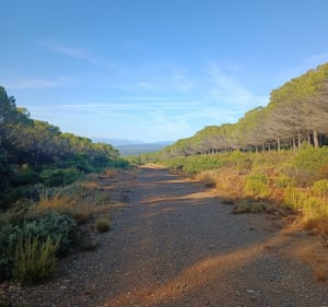 Boucle Tautavel, gorges du Gouleyrous - Tautavel - 4