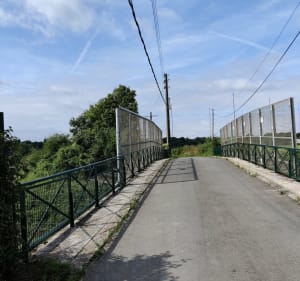 Forêts et étangs de Cesson - Cesson - 4