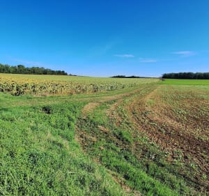 Boucle Belleneuve/Mirbeau/Noiron/Tanay/Magny Saint Médard - JEAN-FRANCOIS - 5