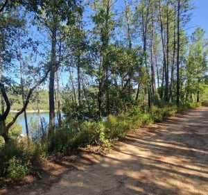 Balade par le Lac de Saint Cassien en passant par Bagnole en forêt - Les Adrets-de-l'Estérel - 4