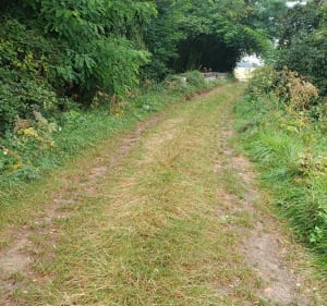 Entre Areines et Coulommiers-la-Tour - Areines - 3