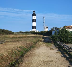 Visite de l'île d'Oléron - Saint-Georges-d'Oléron - 3