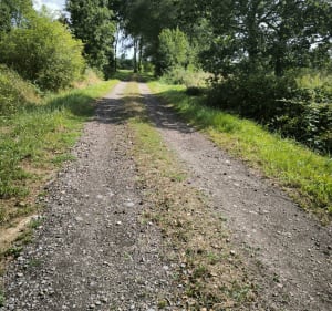 Circuit du pont Rozel - Breteil - 3