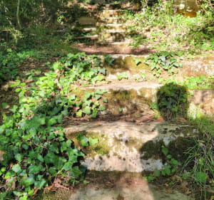 Balade à pied aux alentours de Biard et la Boivre - Biard - 4