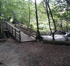 Balades au dessus du Blavet entré bois et halage. - Hennebont - 3