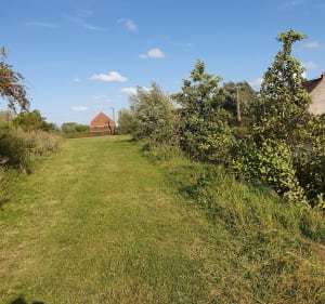 Le sart, Merville - Merville - 4