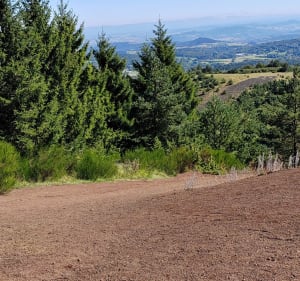 Tour du Puy de la Vache - Aydat - 3