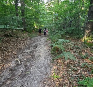 Boucle de Presles à la Forêt de Carnelle - Presles - 3