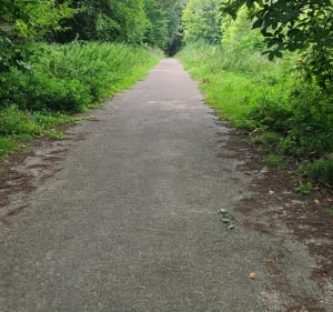 Boucle de Presles à la Forêt de Carnelle - Presles - 5