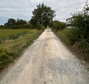 La randonnée du COQ Olympique, à Saint-Loup - Saint-Loup-Cammas - 4