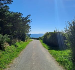 Balade a la pointe du Grand Mont - RONAN - 3