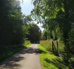 Balade au bois de Marœuil - Marœuil - 3