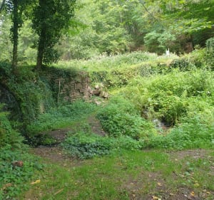 Circuit des grottes - Lemberg - 4