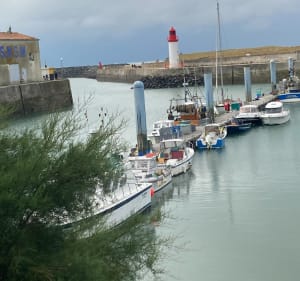 Tour de l’île d’Oléron - Bourcefranc-le-Chapus - 3