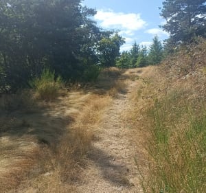 Les chemins  de la Madone - Boulieu-lès-Annonay - 5