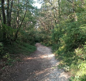 Autour du Plateau d'Écrouves par le Bois de Mortemoselle - Écrouves - 3