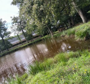 Forêt de Renay, Chanteloup et château - Renay - 4