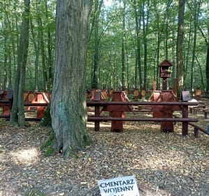 40-kilometrowa szybka pętla w okolicach Chojnowskiego PK - Złotokłos - 4