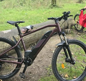 Petite Balade à Vélo : Emmerin - Santé - Wavrin - Haubourdin. - Emmerin - 3