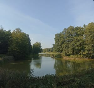 40-kilometrowa szybka pętla w okolicach Chojnowskiego PK - Złotokłos - 5