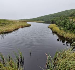 Z Zielonego Stawu Kieżmarskiego w kierunku Tatr Bielskich - Vysoké Tatry - 4