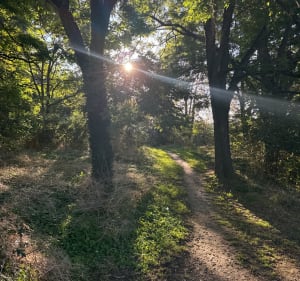 Parc des Guilands - Bagnolet - 3
