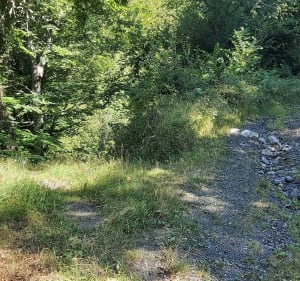 Boucle entre Argein et Arrout - Argein - 3