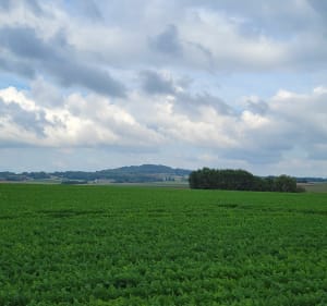 Tour des Flandres - Hardifort - 3