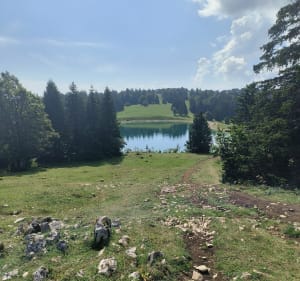 Le Morond et le Mont d'Or - Pierre - 2