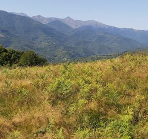 Boucle entre Argein et Arrout - Argein - 5