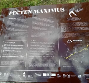 Circuit des cabanes à Limogne-en-Quercy - Limogne-en-Quercy - 3