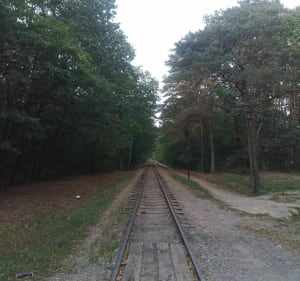 Spacer dookoła lasu - Złotokłos - 5