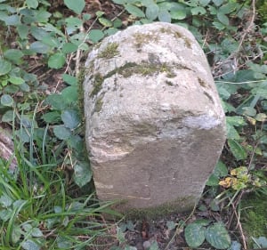 Luppy et Béchy, par le Bois des Saules - Luppy - 3
