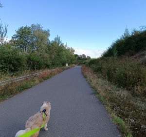 Tour du lac de le Mirgenbach - Cattenom - 4