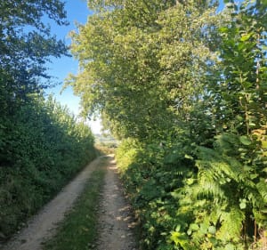 Autour de Saint-Léger-Vauban - Saint-Léger-Vauban - 4