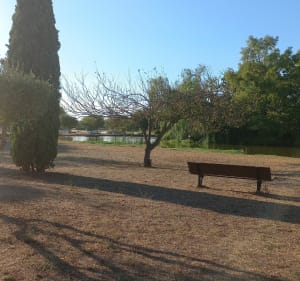 Promenade de santé sur Garons, par les Costières - Garons - 3