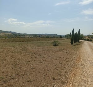 Entre vigne et forêts par l'Aérodrome d'Alès - Méjannes-lès-Alès - 4