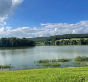 Lac de Virlay - Saint-Amand-Montrond - 3