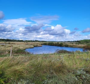 Plage du Veillon et Marais Bourgenais - Talmont-Saint-Hilaire - 3