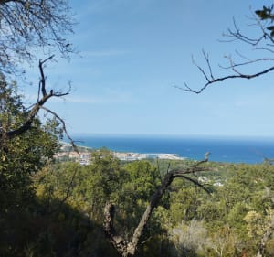 De Racou aux criques de Collioure - Argelès-sur-Mer - 3