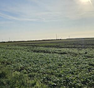 Randonnée autour de Bois-Bernard - Hénin-Beaumont - 4