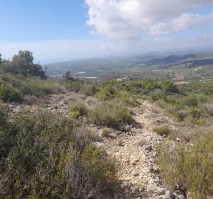 Las Cases Roca Roja y la Cova Calitra - Les Cases d'Alcanar - 3