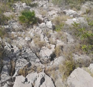 Las Cases Roca Roja y la Cova Calitra - Les Cases d'Alcanar - 5