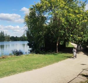 Villemoisson - Lac de Viry et Grigny - Henry - 4