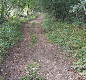 Promenade dans le Saugeais, depuis Lièvremont - Maisons-du-Bois-Lièvremont - 5
