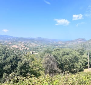 Randonnée en famille autour d'Oletta - Poggio-d'Oletta - 3