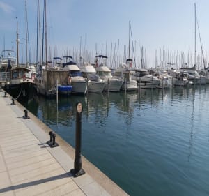 La Grande-Motte depuis Ponant - La Grande-Motte - 3
